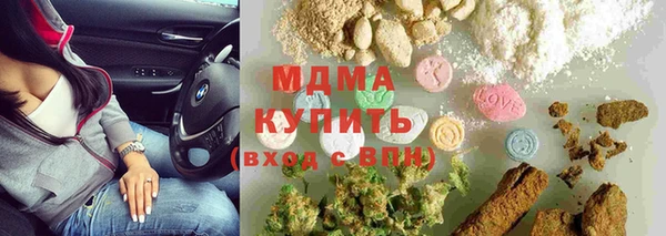 spice Богородицк